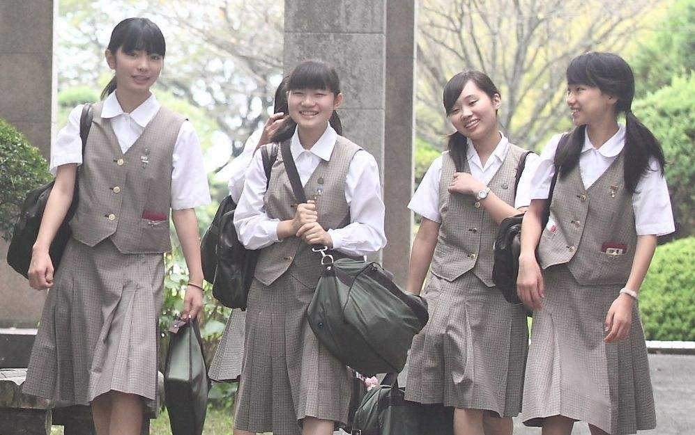 如何從高校自主招生簡章中獲取重要信息？ 